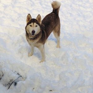 Meet your Posher, Gloria